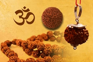 Rudraksha